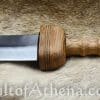 Pompeii Gladius