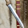 Pompeii Gladius