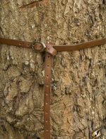 Godfrey Belt - Brown - 66'' / 170 cm