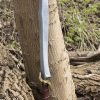 RFB Elven Sword - 29.6'' - Foam Sword