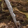 Orc Cleaver - 33.75'' - Foam Sword