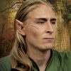 Costume Prosthetic - Elven Ears - standard adult size