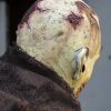Scarface Zombie Mask - Pale