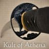 Hanwei Raptor Unokubi Zukuri Katana