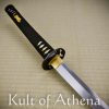 Hanwei Raptor Nanbokucho Katana