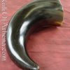 Large Drinking Horn