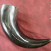 Large Drinking Horn