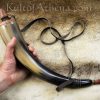 Powder Horn with Wooden Plug