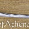 Classic Tiger Wakizashi