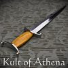 Tod Cutler - Antennae Medieval Quillon Dagger